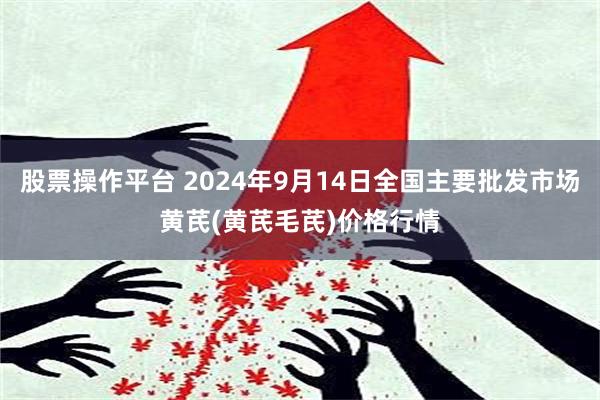 股票操作平台 2024年9月14日全国主要批发市场黄芪(黄芪毛芪)价格行情