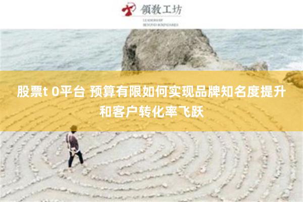 股票t 0平台 预算有限如何实现品牌知名度提升和客户转化率飞跃