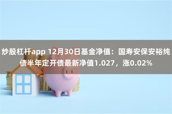 炒股杠杆app 12月30日基金净值：国寿安保安裕纯债半年定开债最新净值1.027，涨0.02%