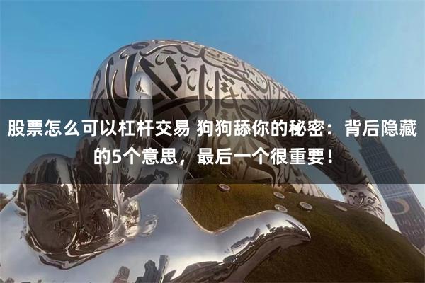 股票怎么可以杠杆交易 狗狗舔你的秘密：背后隐藏的5个意思，最后一个很重要！