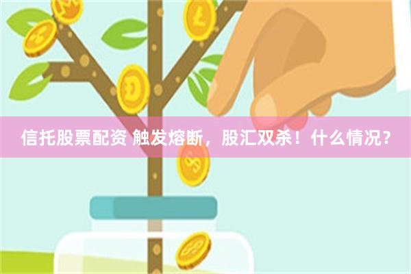 信托股票配资 触发熔断，股汇双杀！什么情况？