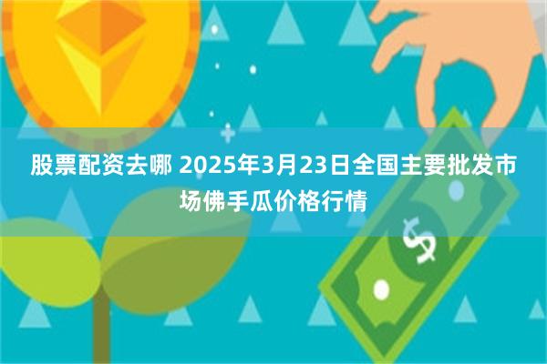 股票配资去哪 2025年3月23日全国主要批发市场佛手瓜价格行情