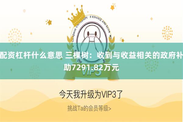 配资杠杆什么意思 三棵树：收到与收益相关的政府补助7291.82万元