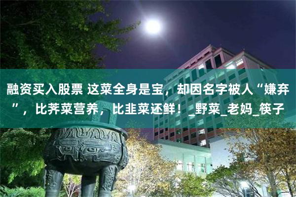 融资买入股票 这菜全身是宝，却因名字被人“嫌弃”，比荠菜营养，比韭菜还鲜！_野菜_老妈_筷子
