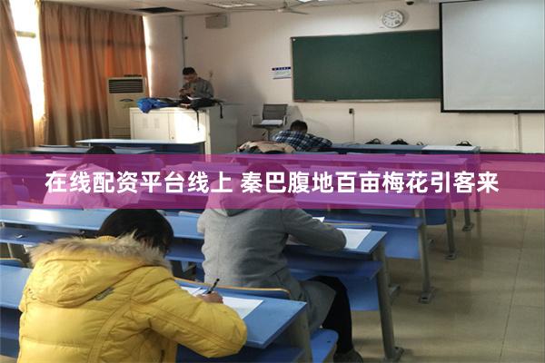 在线配资平台线上 秦巴腹地百亩梅花引客来