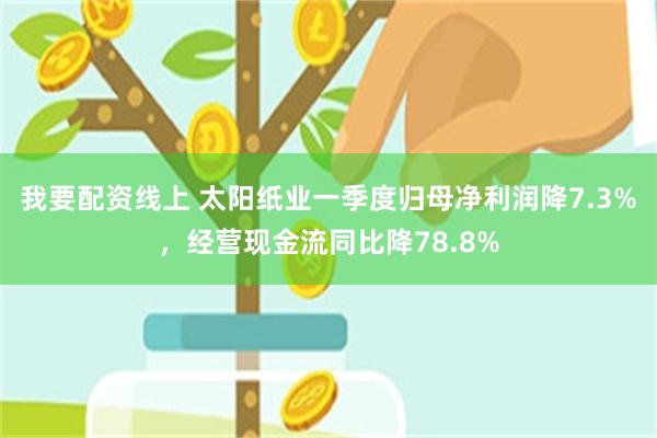 我要配资线上 太阳纸业一季度归母净利润降7.3%，经营现金流同比降78.8%