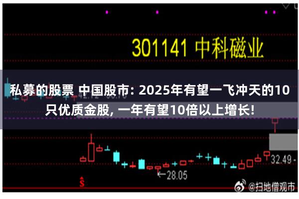 私募的股票 中国股市: 2025年有望一飞冲天的10只优质金股, 一年有望10倍以上增长!