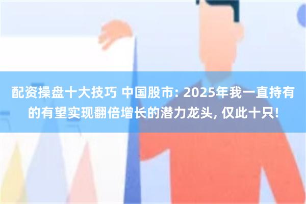 配资操盘十大技巧 中国股市: 2025年我一直持有的有望实现翻倍增长的潜力龙头, 仅此十只!