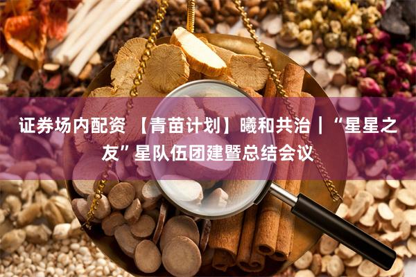 证券场内配资 【青苗计划】曦和共治｜“星星之友”星队伍团建暨总结会议