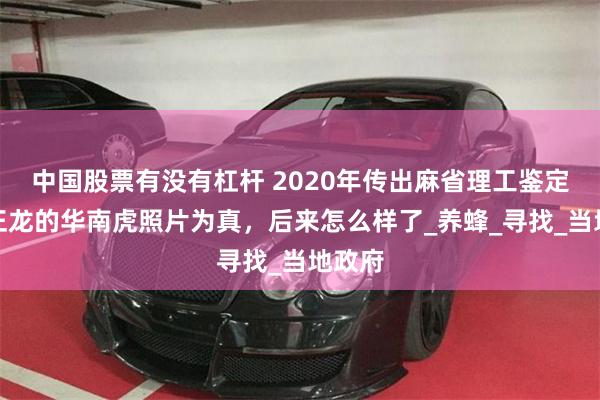 中国股票有没有杠杆 2020年传出麻省理工鉴定：周正龙的华南虎照片为真，后来怎么样了_养蜂_寻找_当地政府