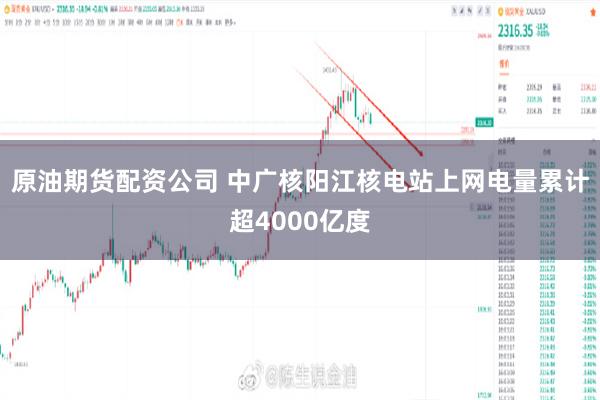 原油期货配资公司 中广核阳江核电站上网电量累计超4000亿度